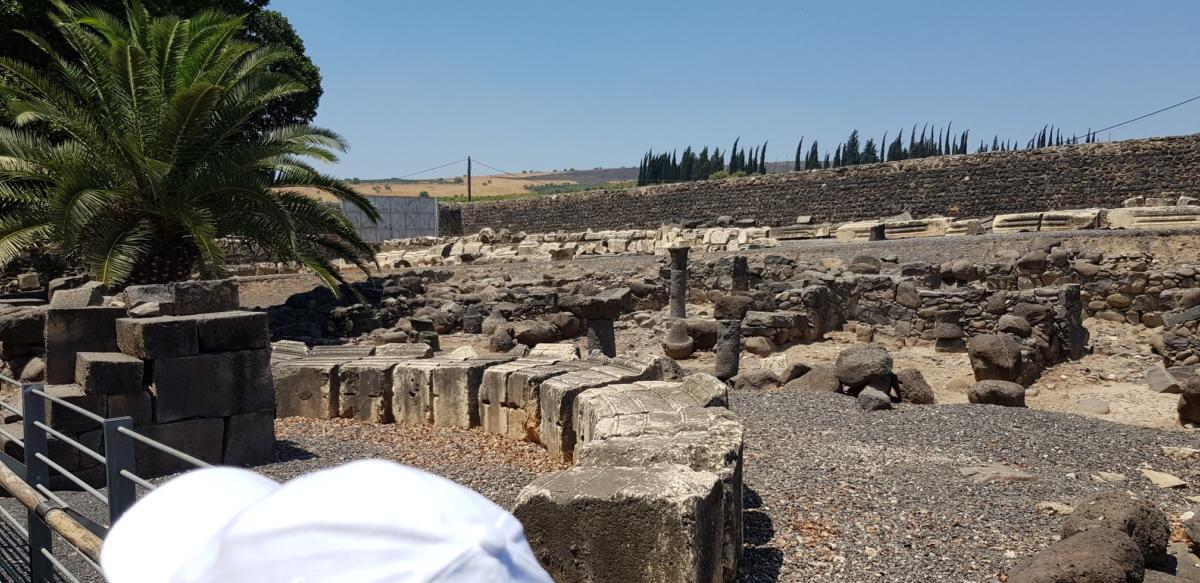 ADEFE CARAVANA ISRAEL 2019 (119)