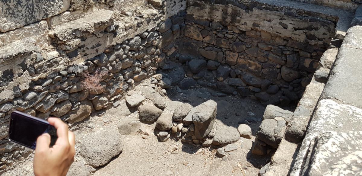 ADEFE CARAVANA ISRAEL 2019 (151)