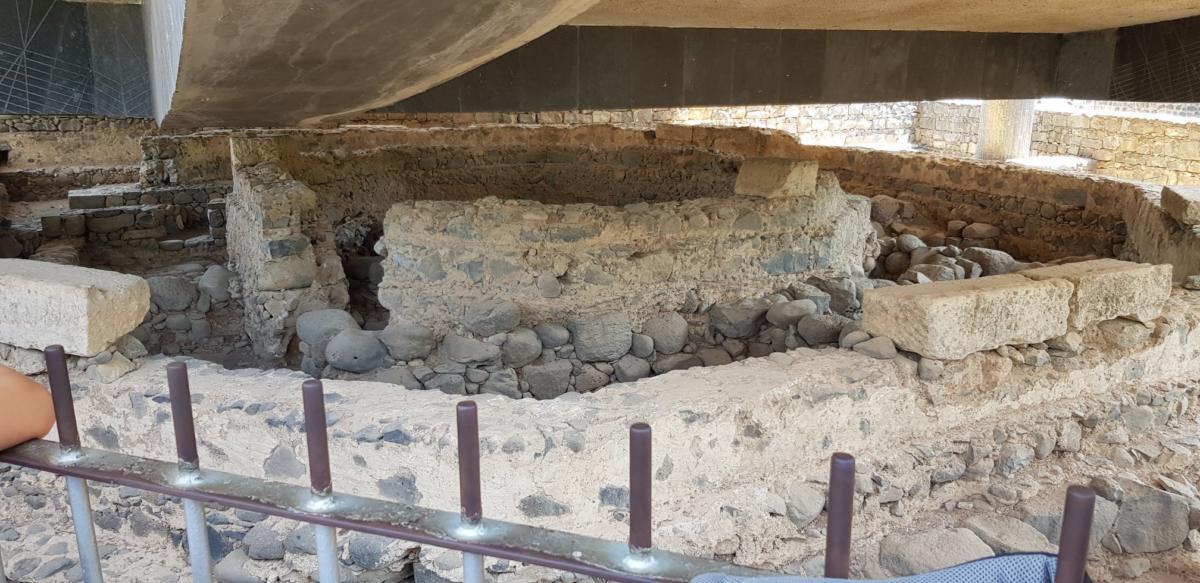 ADEFE CARAVANA ISRAEL 2019 (313)