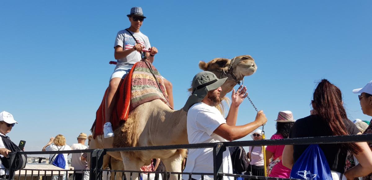ADEFE CARAVANA ISRAEL 2019 (55)